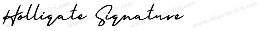 Holligate Signature字体转换